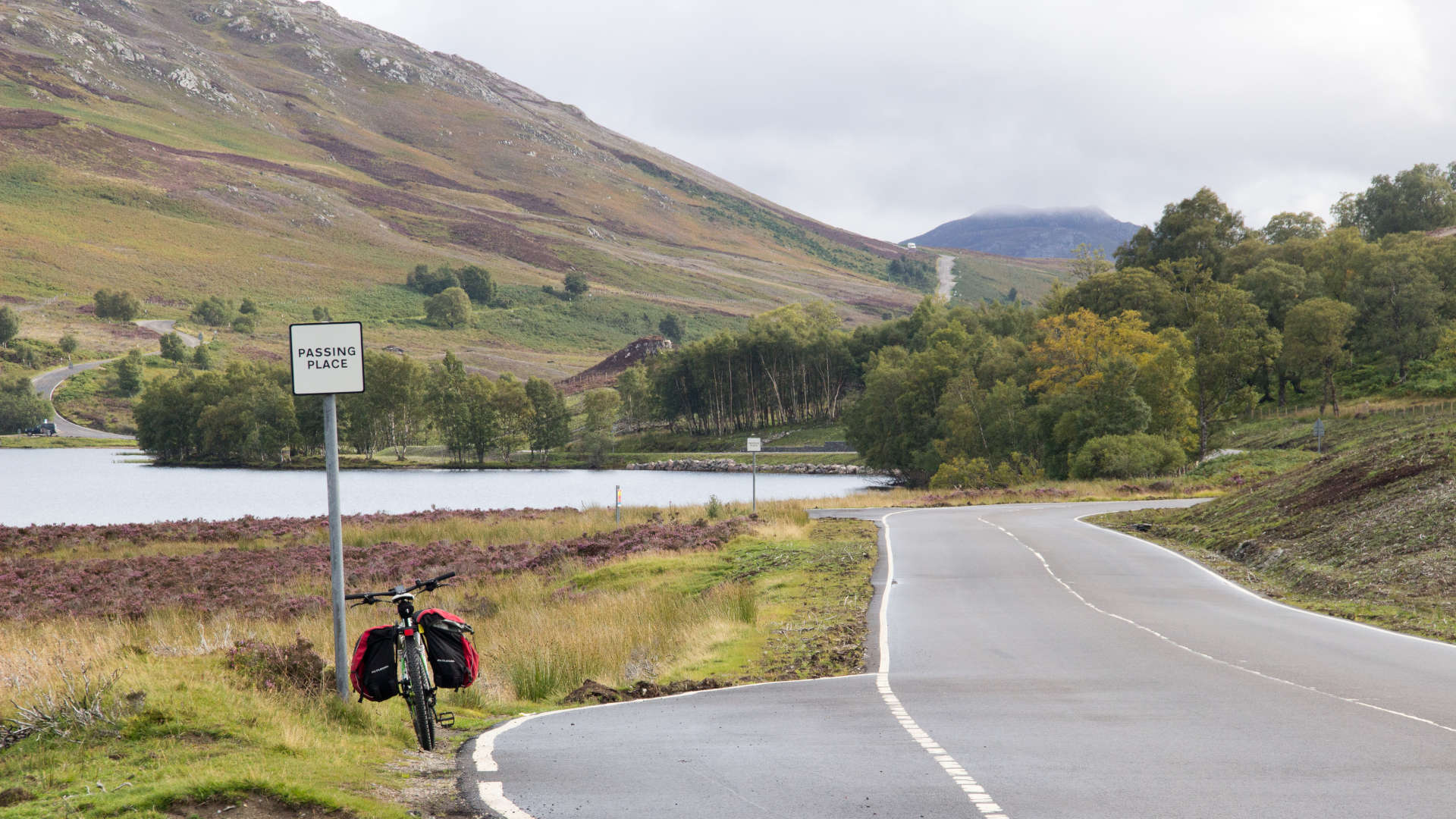 Ticket to Ride Bike Tours