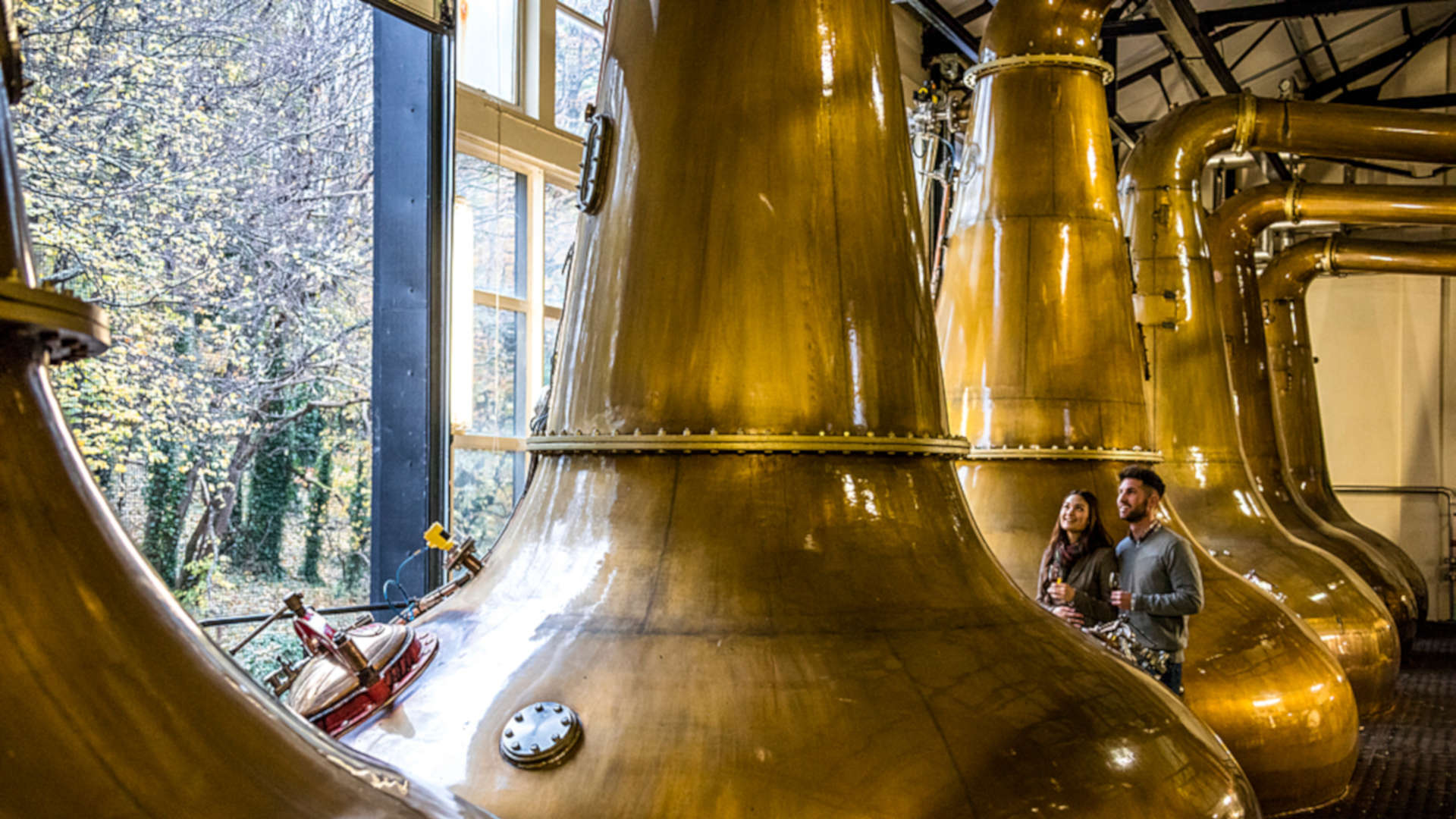 stills in a distillery