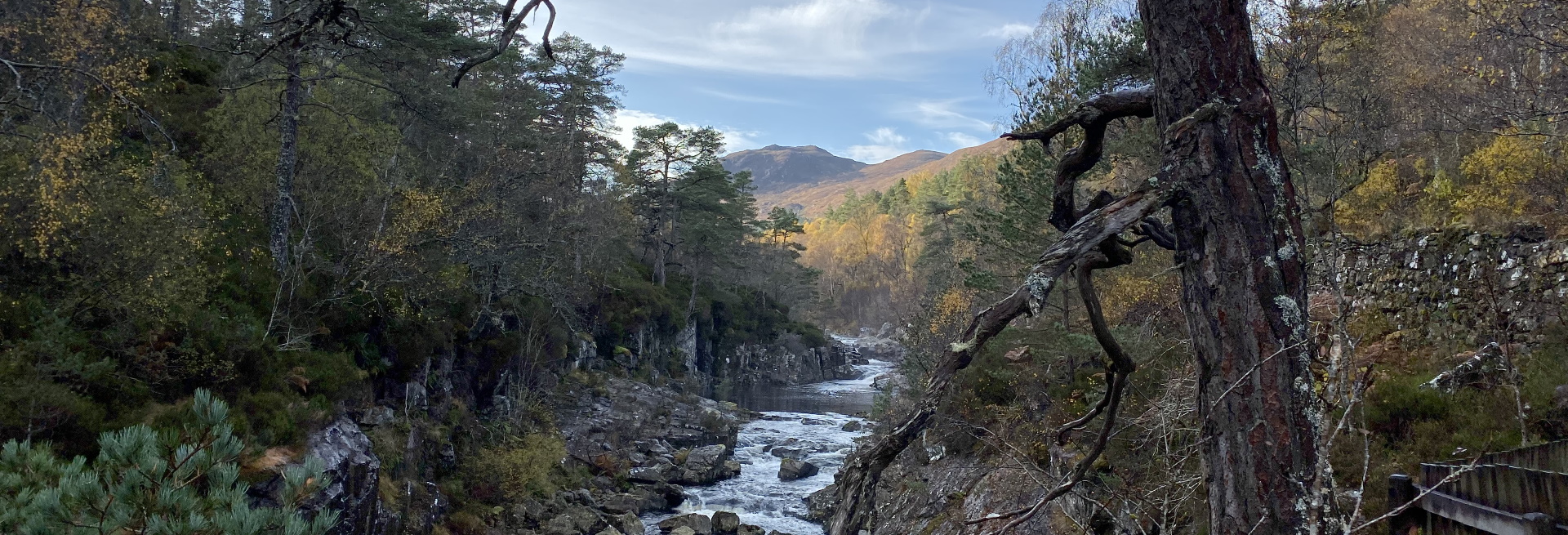 Dog Falls near Glen Affric