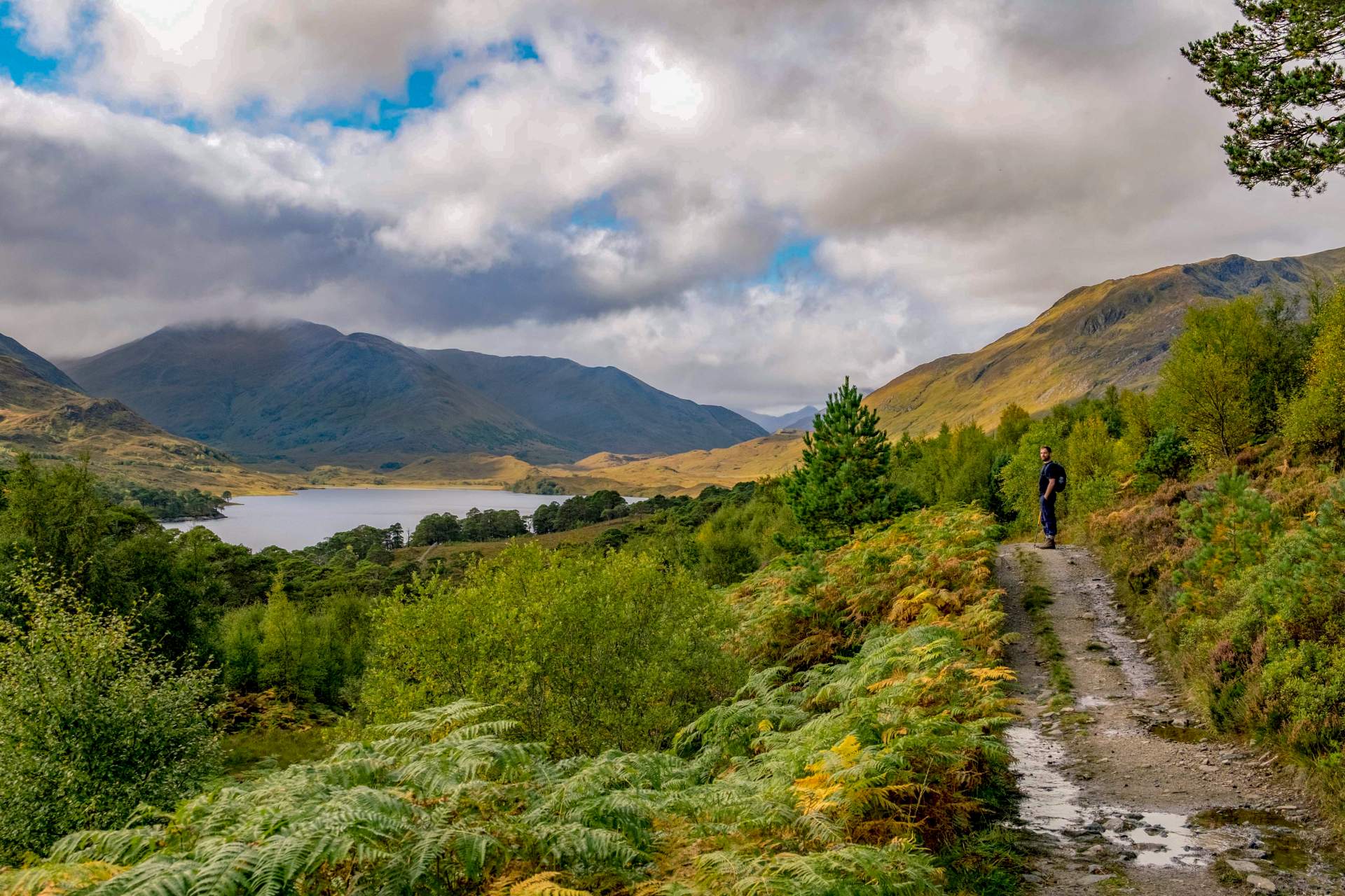 Kate hopper - Glen affric