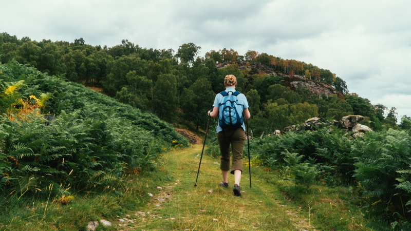 Walking between Whitebridge and Foyers on the South Loch Ness Trail