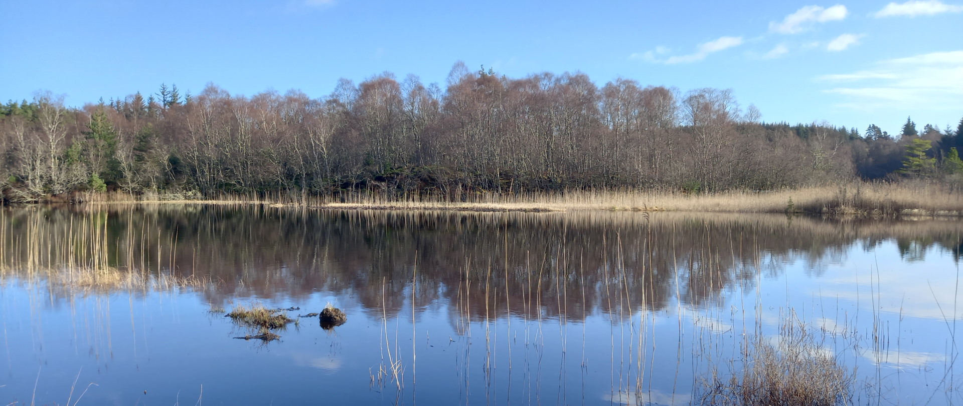 Loch Bran South Loch Ness