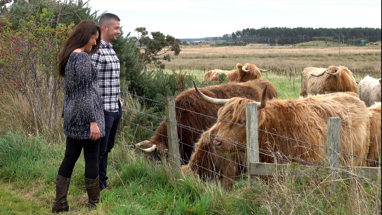 Easter Dalziel Farm Cottages